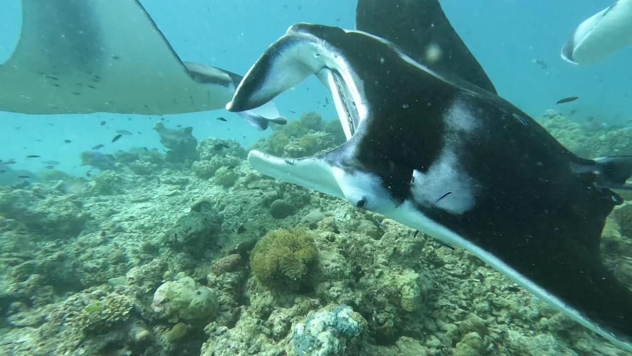Paguro Beach Inn Ukulhas Eksteriør billede